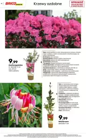 Bricomarche gazetka Strona 37