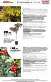 Bricomarche gazetka Strona 39