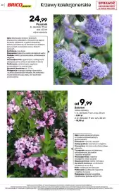 Bricomarche gazetka Strona 42