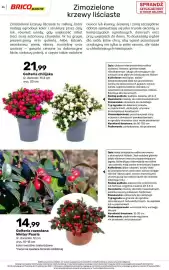 Bricomarche gazetka Strona 46