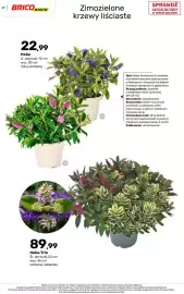 Bricomarche gazetka Strona 47