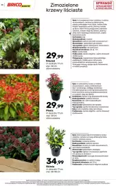 Bricomarche gazetka Strona 48