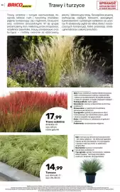 Bricomarche gazetka Strona 50