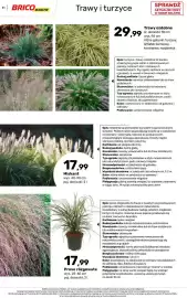 Bricomarche gazetka Strona 51