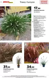 Bricomarche gazetka Strona 52