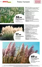Bricomarche gazetka Strona 53