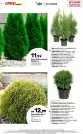Bricomarche gazetka Strona 55