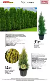 Bricomarche gazetka Strona 56