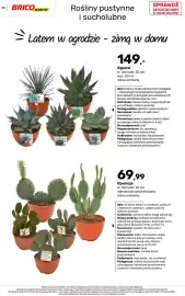 Bricomarche gazetka Strona 58