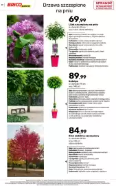 Bricomarche gazetka Strona 59
