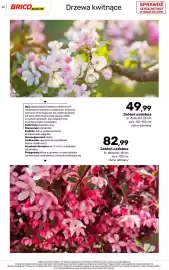 Bricomarche gazetka Strona 60