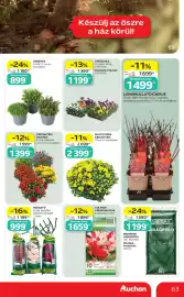 Auchan akciós újság hét 36 Oldal 63