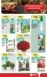 Auchan akciós újság | Szupermarket Oldal 11