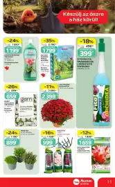 Auchan akciós újság | Szupermarket Oldal 11