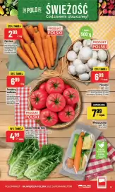 Polomarket gazetka tydzień 36 Strona 13: Pomidory malinowe €6,99, Włoszczyzna €7,99