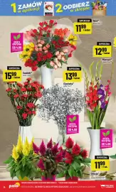 Polomarket gazetka tydzień 36 Strona 16: Róże €11,99, Goździki €15,99