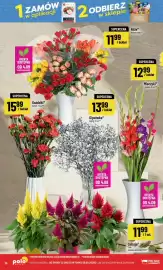 Polomarket gazetka tydzień 36 Strona 16: Róże €11,99, Goździki €15,99