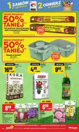 Polomarket gazetka tydzień 36 Strona 64: Cebulki kwiatów Hiacynt mieszanka Garderin €8,99