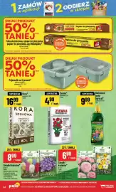 Polomarket gazetka tydzień 36 Strona 64: Cebulki kwiatów Hiacynt mieszanka Garderin €8,99