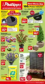 Thomas Philipps Prospekt woche 36 Seite 1: Narzissen Mischung €3,79, Herbstblumenzwiebeln €1,99
