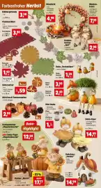 Thomas Philipps Prospekt woche 36 Seite 6: Dekohaus „Herbst“ €14,99, Herbstdekoration €2,99