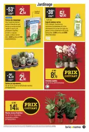 Catalogue Bricorama page 11: ALGOFLASH Engrais plantes vertes €5,50, KOLIBRI Orchidée papillon €8,79