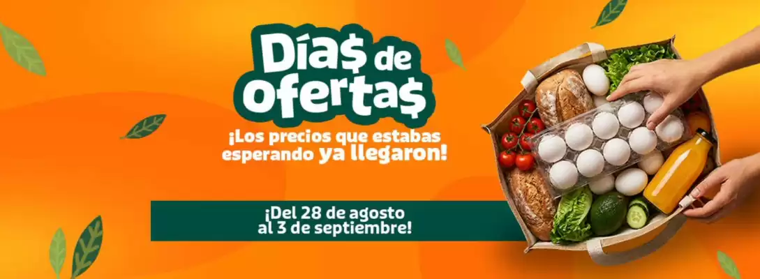 Catálogo Mercado Madrid (válido hasta 5-09)