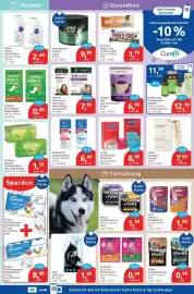 Budni Prospekt woche 37 Seite 5