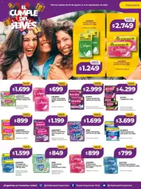 Catálogo Supermayorista Vital semana 36 Página 6: Ladysoft toalla femenina normal €899,00