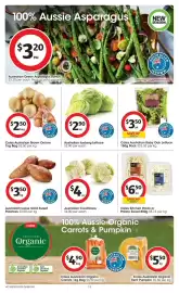 Coles catalogue week 36 Page 13