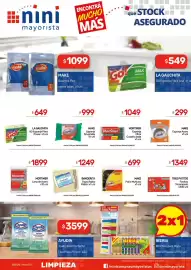 Catálogo Nini Mayorista semana 36 Página 16: Banderita trapo rejilla pabilo €1.249,00