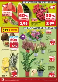 Kaufland gazetka tydzień 36 Strona 5
