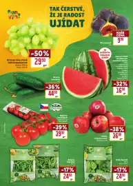 Billa leták týden 36 Strana 8: Mila ready baby špenát €24,90, Child ready Rukola €24,90