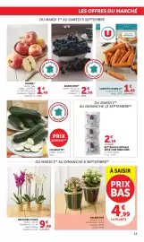 Catalogue Maximarché page 13: KALANCHOE €4,99, ORCHIDÉE 3 TIGES €9,99