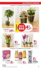 Catalogue Bi1 page 25: KALANCHOE €4,99, EASYPOP POPCORN micro-ondes €2,89