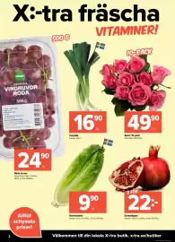 Coop Extra reklamblad vecka 37 Sida 2: Röda druvor €24,90, Romansallat €9,90