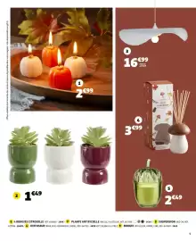 Catalogue GiFi page 5: WILD MUSHROOM €3,99, COLONA Succulente €49,00