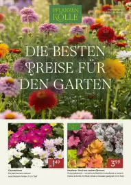 Pflanzen Kölle Prospekt Seite 1