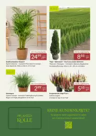 Pflanzen Kölle Prospekt Seite 3