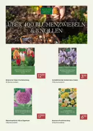 Pflanzen Kölle Prospekt Seite 5