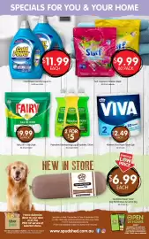Spudshed catalogue week 36 Page 13: Kleenex Viva Paper Towel €2,49, Palmolive Dishwashing Liquid Varieties €5,00