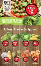Spudshed catalogue week 36 Page 4: Whole Kent, Grey or Butternut Pumpkin €1,99, Cabbage €2,00