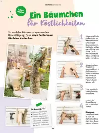 Fressnapf Prospekt Seite 26