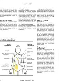 Dm drogerie Prospekt Seite 54
