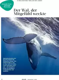Dm drogerie Prospekt Seite 86