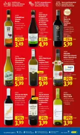 Lidl Prospekt Seite 19