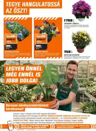 OBI akciós újság Oldal 4: Krizantém' (többféle) €1.799,00, Multiflora krizantém €759,00