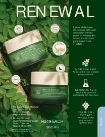 Justine brochure Page 11
