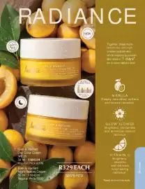 Justine brochure Page 13