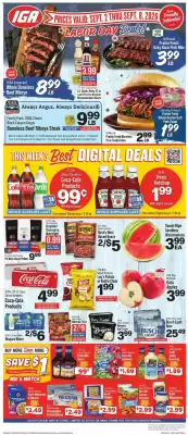 IGA (valid until 8-09)